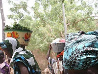 Mud Maps Africa Djenne 3683.JPG